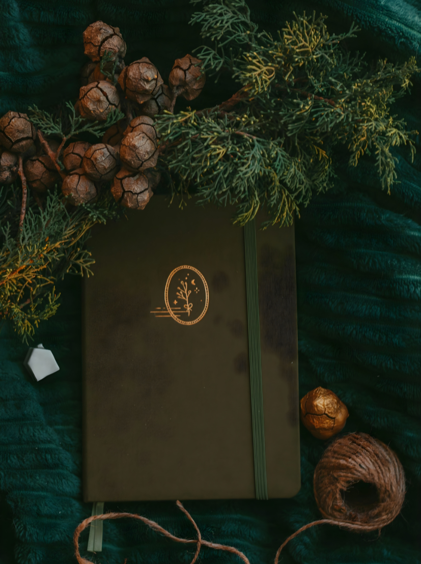 Holi Sorts Creativity